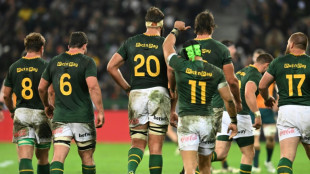 Springboks back in contention after win - Erasmus