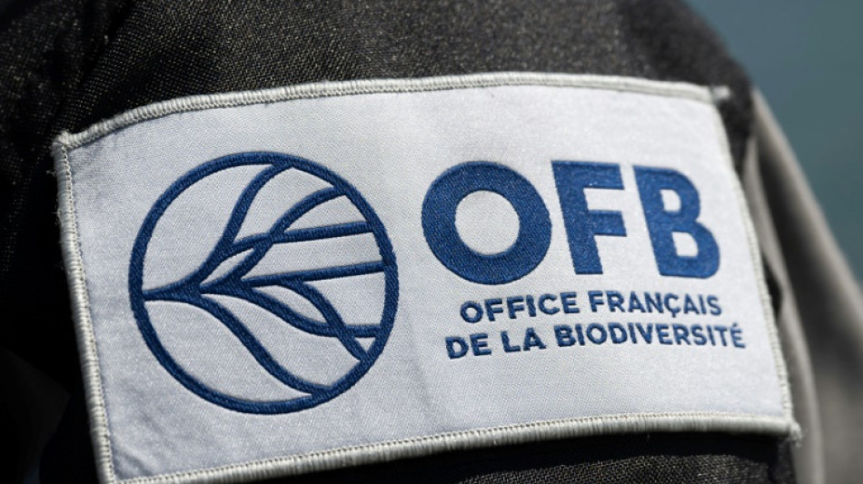 Braconnage: cinq personnes, dont le milliardaire Olivier Bouygues, jugées en mars 2026