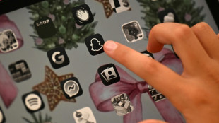 Frankreichs Senat verabschiedet Social-Media-Verbot f&uuml;r Jugendliche