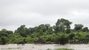 South Africa's Kruger park suffers 'devastating' damage from floods