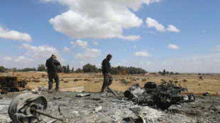 La Syrie accuse Isra&euml;l de vouloir la "d&eacute;stabiliser" apr&egrave;s une incursion et des frappes meurtri&egrave;res