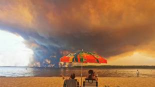 How an AFP beach snap became emblem of Europe's wildfire summer