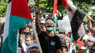 Ola de solidaridad en los pa&iacute;ses &aacute;rabes con la ofensiva de Ham&aacute;s contra Israel