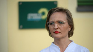 Grünen-Chefin Brantner fordert Waffenembargo und Sanktionen gegen israelische Minister