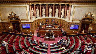 S&eacute;natoriales: le RN d&eacute;barque en force &agrave; la chambre haute