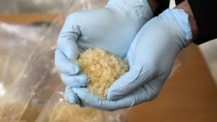 Zoll findet 160 Kilogramm Crystal Meth in Frachtsendung an Frankfurter Flughafen