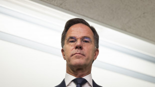 Rutte, 'la sovranit&agrave; della Groenlandia non discussa con Trump'