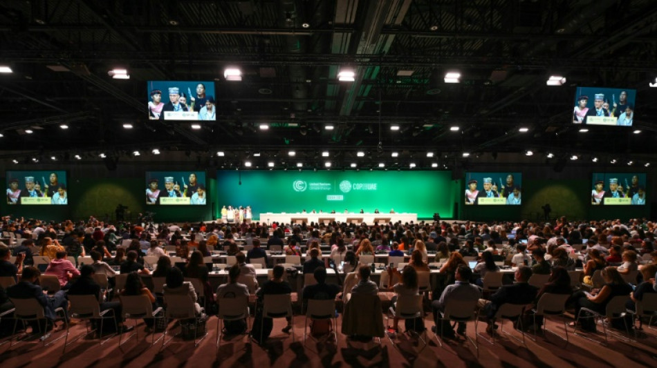 Proposta de 'redu&ccedil;&atilde;o' das energias f&oacute;sseis na COP28 provoca onda de cr&iacute;ticas