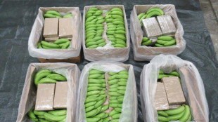 Reino Unido registra apreens&atilde;o recorde de 5,7 toneladas de coca&iacute;na