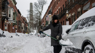 Froid polaire aux Etats-Unis, plus de 800.000 foyers sans &eacute;lectricit&eacute;
