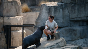 Dans les zoos, les animaux "&eacute;quip&eacute;s" pour supporter la canicule