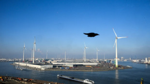 What to expect as EU small parcel levy kicks in 