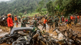 Indon&eacute;sie: le bilan du glissement de terrain s'&eacute;l&egrave;ve &agrave; 22 morts, recherches suspendues