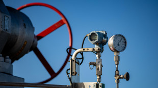 Scornajenchi (Snam), gas cruciale per la continuità del sistema