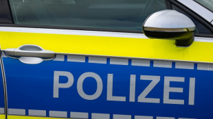 15-J&auml;hriger f&auml;hrt Polizei davon - wiederholt mit gestohlenen Autos erwischt