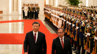 L&iacute;der chino recibe a Petro y eleva a "estrat&eacute;gica" la relaci&oacute;n con Colombia