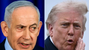 Israel's Netanyahu to seek re-election despite Trump doubts, war strains