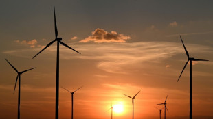 Umweltsch&uuml;tzer f&uuml;r energiepolitische Neuausrichtung nach Angriff auf Ukraine