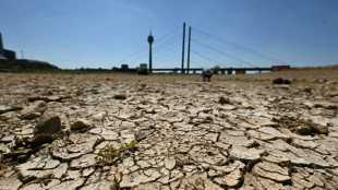 Niedrigwasser im Rhein: NRW-Ministerin warnt vor Folgen f&uuml;r die Wirtschaft