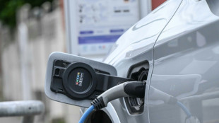Les ventes de voitures neuves en France ont bondi de 12,86% en mars, selon les professionnels 