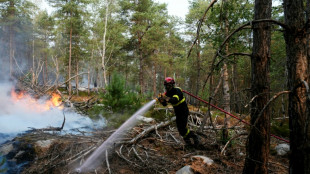 For&ecirc;t de Fontainebleau: les pompiers cherchent &agrave; contenir les reprises de feu, une nouvelle garde &agrave; vue