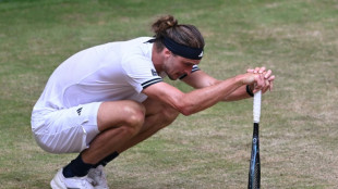 ATP 500 de Halle: Affaibli par la chaleur, Zverev c&egrave;de face &agrave; Fritz en demies