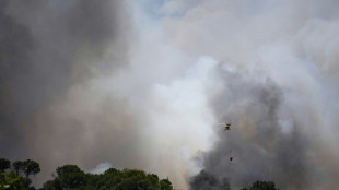 Un feu de for&ecirc;t fait 12 morts pr&egrave;s d'Almeria, dans le sud de l'Espagne