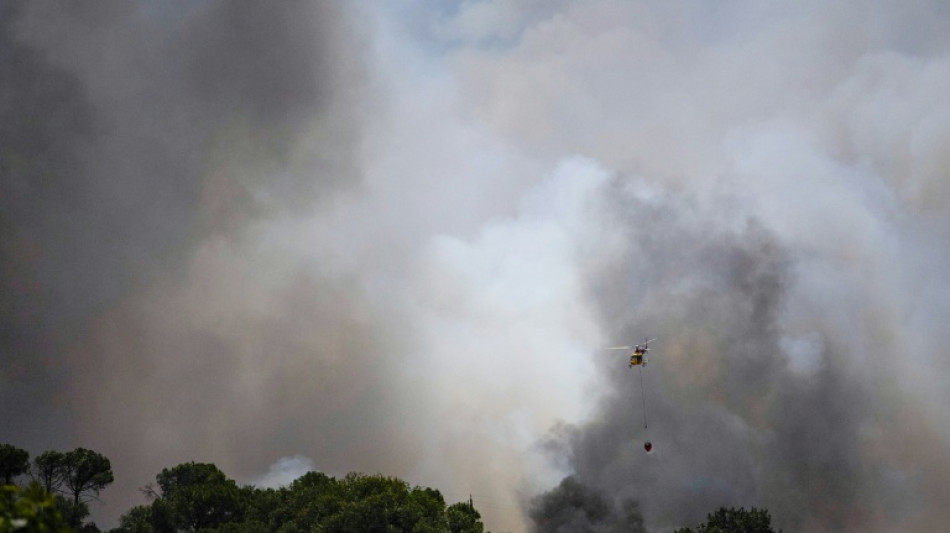 Un feu de for&ecirc;t fait au moins 11 morts pr&egrave;s d'Almeria, dans le sud de l'Espagne