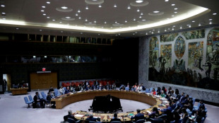 Gaza: nouveau véto américain au Conseil de sécurité de l'ONU