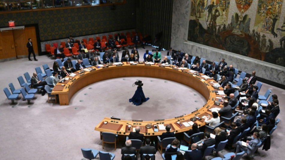 La demande d'adh&eacute;sion des Palestiniens &agrave; l'ONU face au couperet du Conseil de s&eacute;curit&eacute;