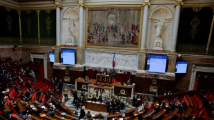 Feuille de route &eacute;nerg&eacute;tique: Bayrou m&eacute;nage le RN en repoussant la publication d'un d&eacute;cret