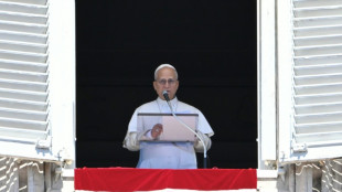 El papa pide terminar con "pandemia de armas" que mata a ni&ntilde;os en cr&iacute;menes y conflictos
