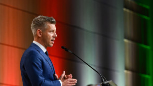 Magyar, 'pronto a parlare con Meloni, l'Italia partner chiave'