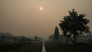La lutte acharn&eacute;e des pompiers contre les brasiers de la for&ecirc;t des Landes