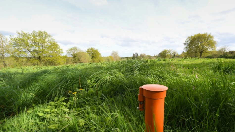 S&eacute;cheresse: 68% des nappes phr&eacute;atiques fran&ccedil;aises toujours sous les normales