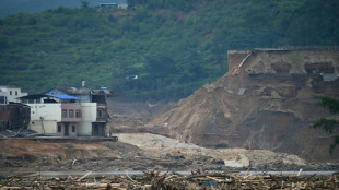 Chine: z&egrave;bres, z&eacute;bu et autruches s'&eacute;chappent d'un zoo frapp&eacute; par les inondations