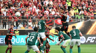 Foot: Flamengo remporte sa quatrième Copa Libertadores