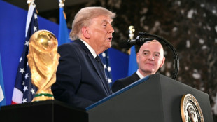 WM-Finale unter den Augen Trumps: Gro&szlig;es Staraufgebot bei Schlussfeier und Halbzeitshow 