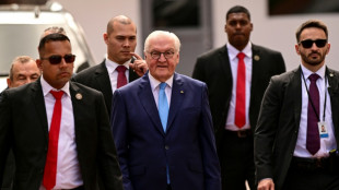 El presidente alem&aacute;n pide cesar la guerra en Oriente Medio para evitar consecuencias "desastrosas"