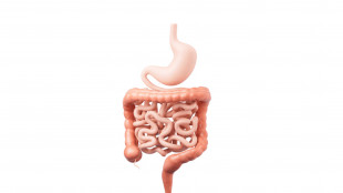 Tumori gastrointestinali, chance per pi&ugrave; pazienti grazie a cure su misura