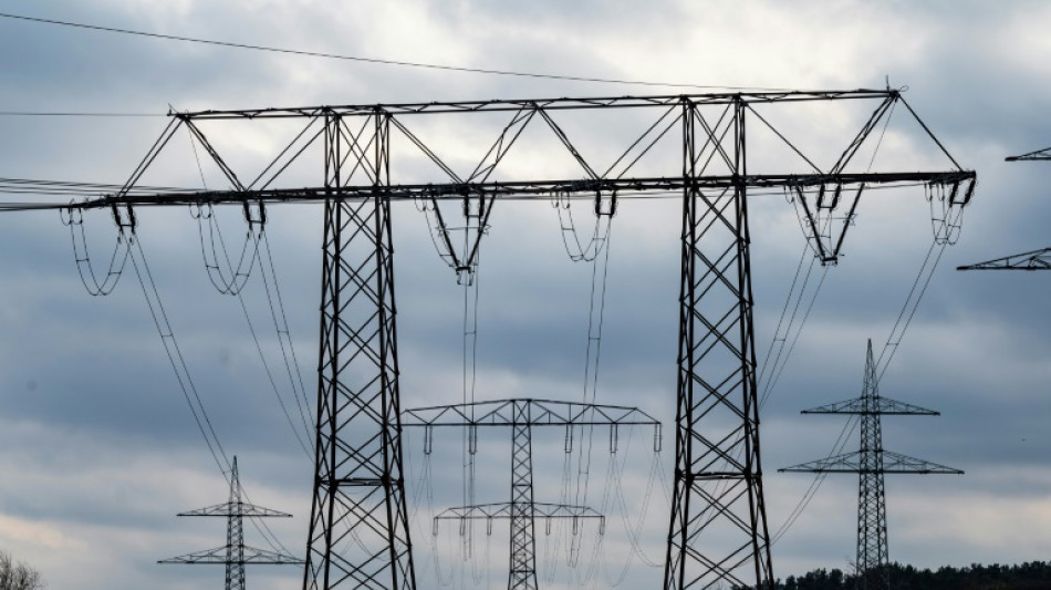 Bundesregierung einig bei erneuter Strompreissubventionierung &uuml;ber Netzentgelte