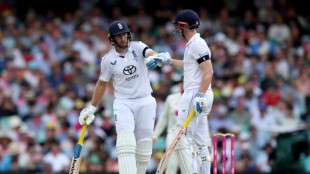 Root, Brook tame Australia in rain-hit 5th Ashes Test