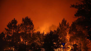 Gironde: 3.100 hectares br&ucirc;l&eacute;s et plus de 20.000 &eacute;vacu&eacute;s, des habitations menac&eacute;es