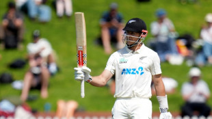 Hay fifty on debut helps New Zealand to 73-run lead against West Indies