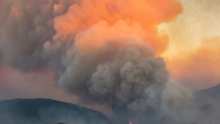 L'incendie des Pyr&eacute;n&eacute;es-Orientales n'a pas progress&eacute; depuis lundi soir, 12.000 &eacute;vacu&eacute;s
