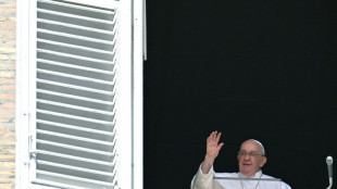 El papa pide corredores humanitarios para la poblaci&oacute;n de Gaza