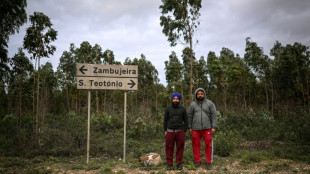 Portugal, terra de acolhida aos imigrantes, na contram&atilde;o da fortaleza europeia