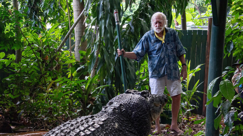 Muore in Australia il croccodrillo pi&ugrave; grande del mondo