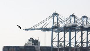 Trump annuncia una breve sospensione del Project Freedom a Hormuz