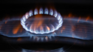 Il prezzo del gas apre in calo a 44,92 euro al megawattora